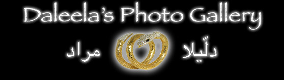 Daleela's Photo Gallery