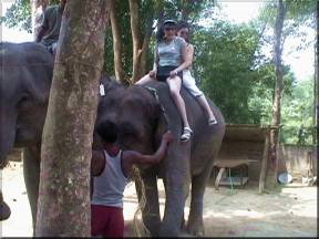 Dance Journey to Nepal